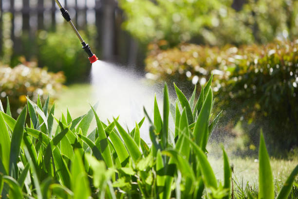 Tamper-Resistant Bait Stations for Rodents in Merton