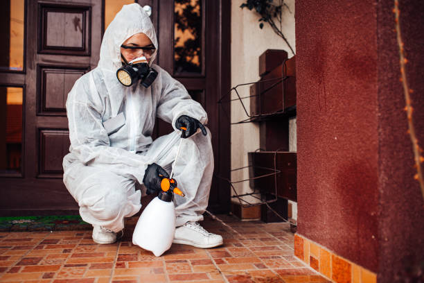 Attic and Crawl Space Rodent Treatment in Merton